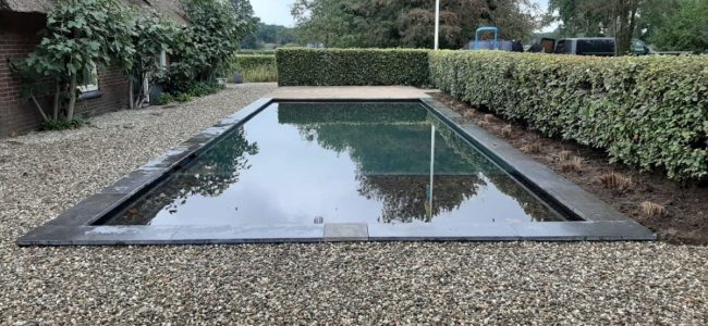 Strakke zwemvijver met planten op de Veluwe