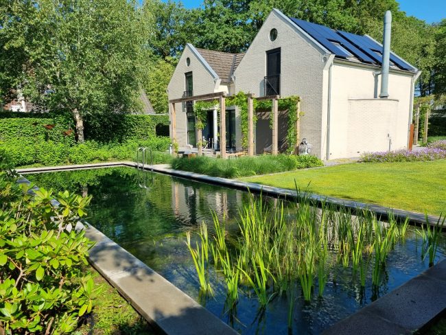 Zwemvijver als blikvanger bij tuinrenovatie in Overijssel