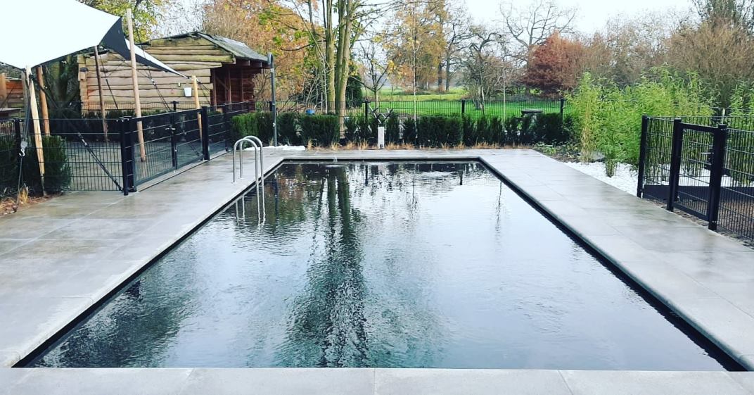 De looks van een zwembad de voordelen van een zwemvijver