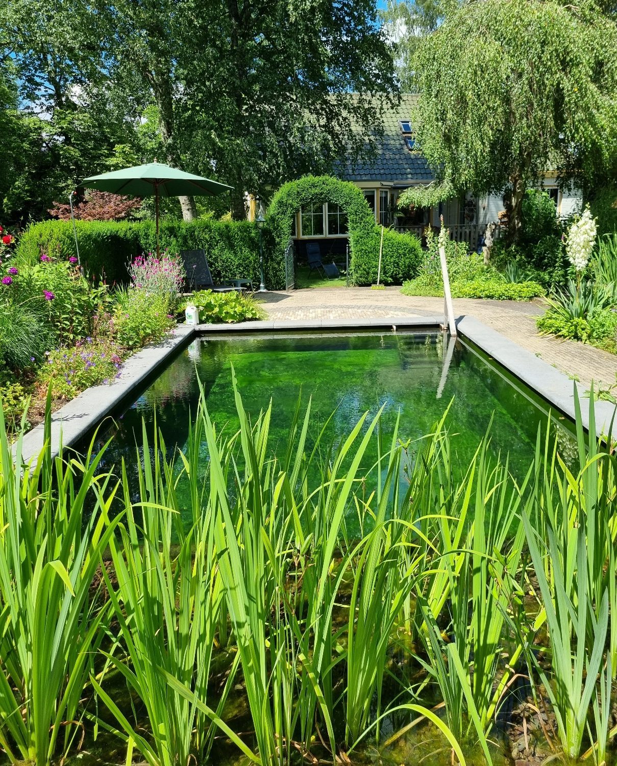 Duurzame en milieuvriendelijke zwemvijver