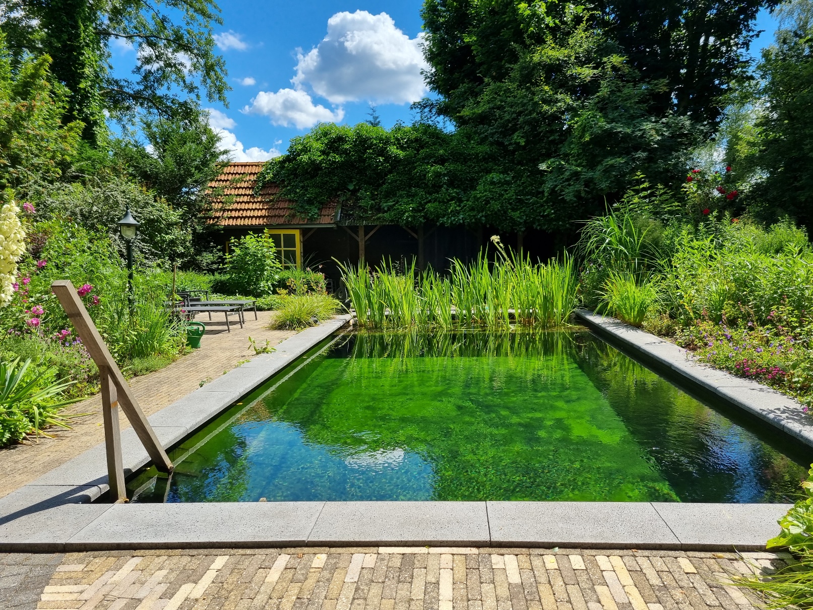 Ombouw chloor-zwembad naar zwemvijver in Hulshorst