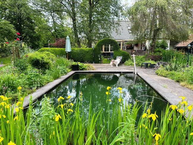 Verouderd chloorbad eruit, natuurlijke zwemvijver erin