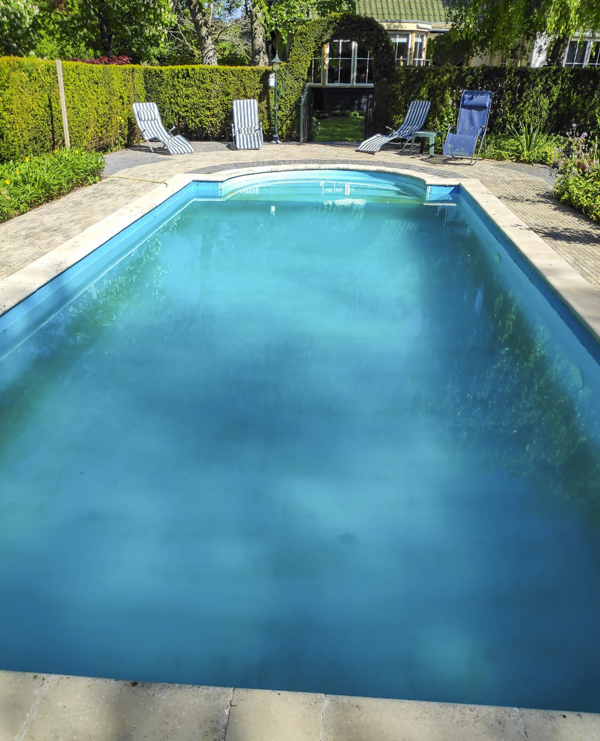 Zwembad ombouwen naar zwemvijver Hulshorst