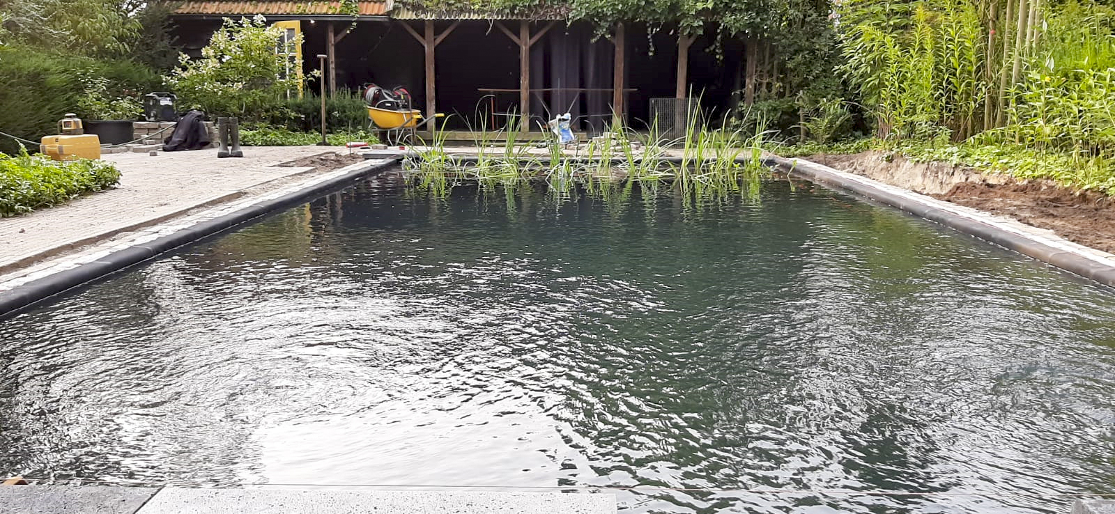 Zwembad ombouwen zwemvijver Hulshorst