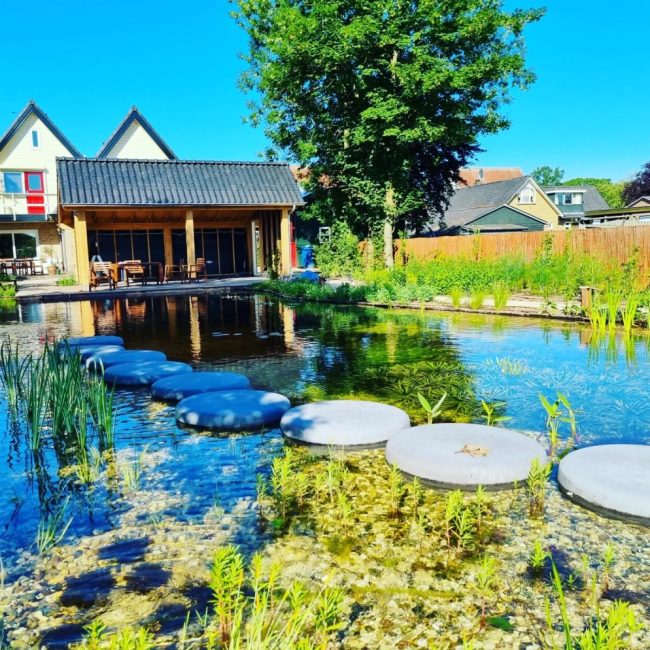 Grote zwemvijver met natuurlijke uitstraling in Klarenbeek