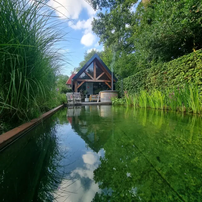 Moderne zwemvijver in een sfeervolle tuin in Epe