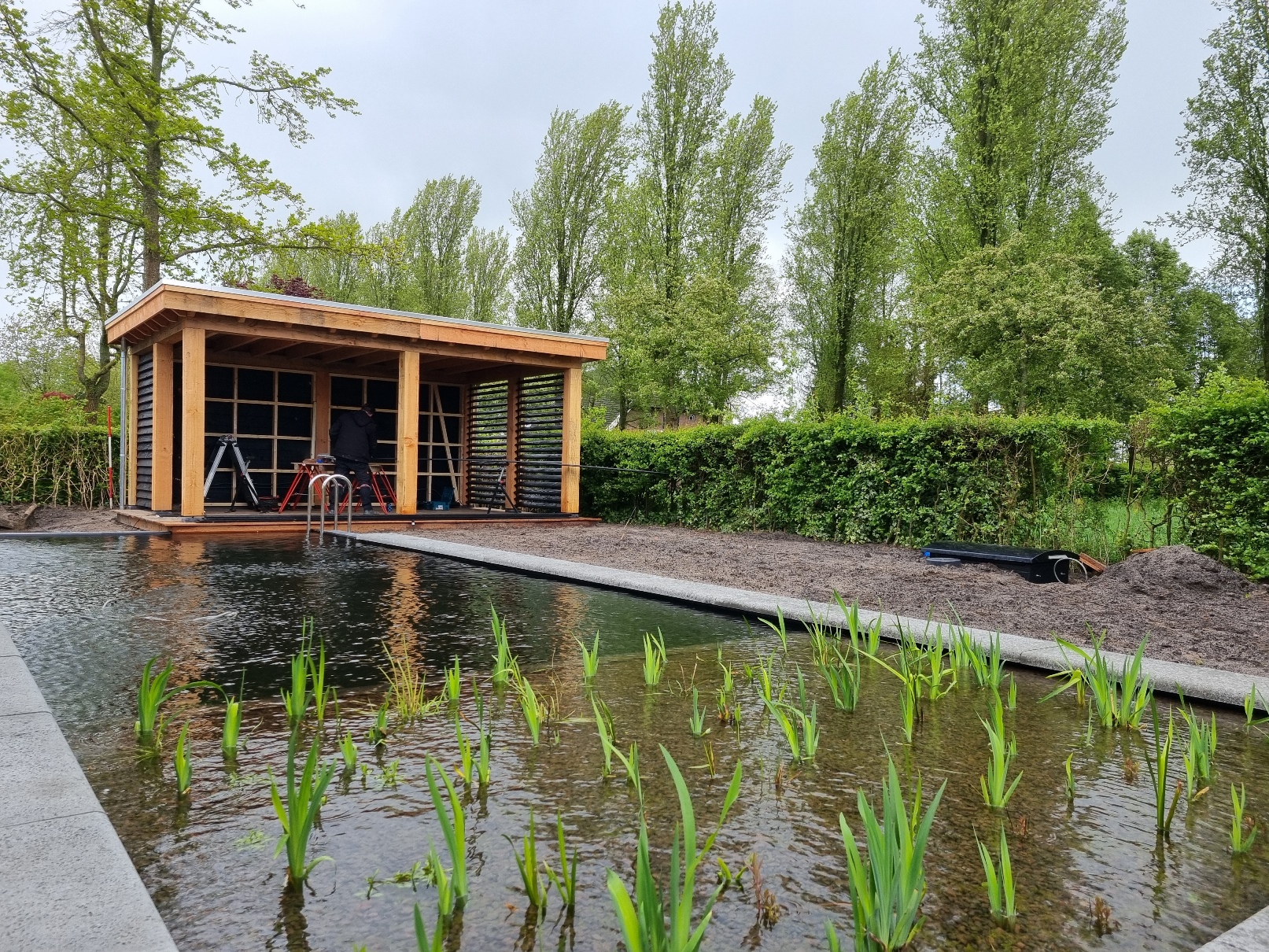 Moderne zwemvijver als blikvanger in gezinstuin in Zwolle