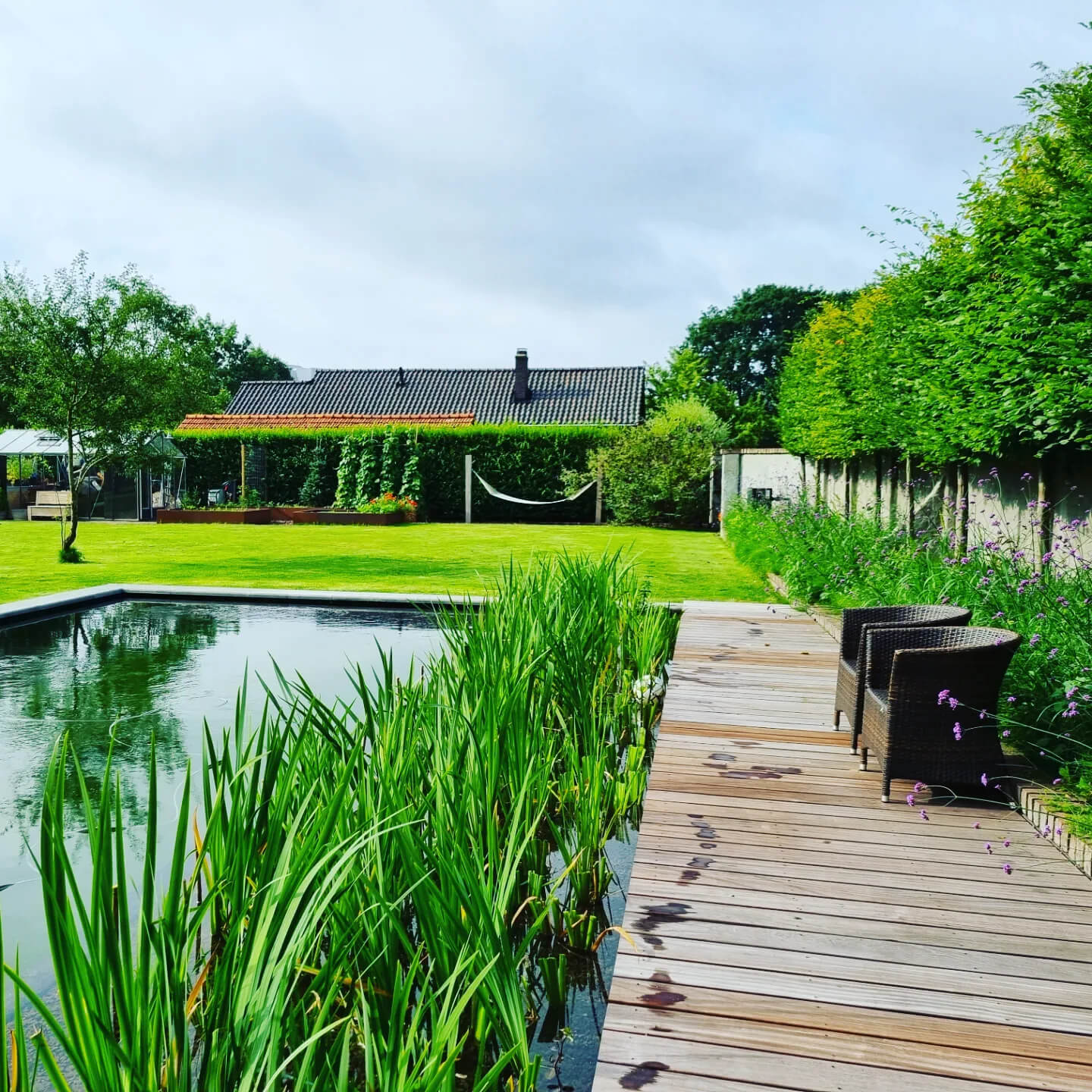 Natuurlijke filtering en helder water​