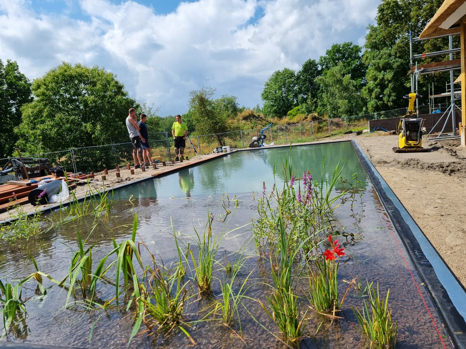 Planten met functie én zicht​