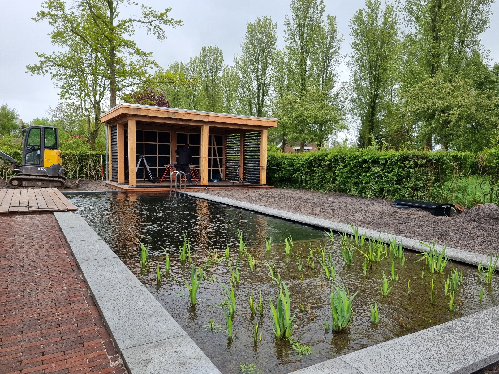 Planten op de juiste plek