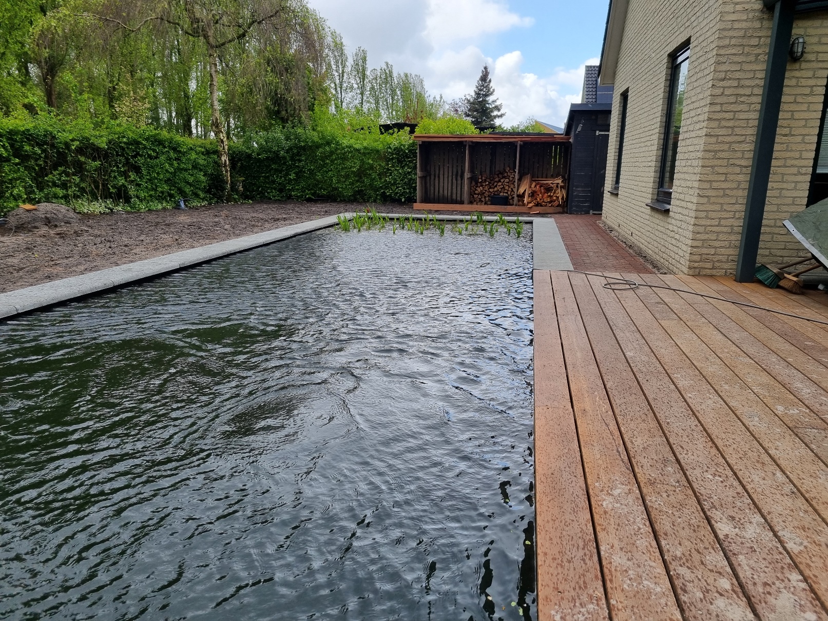 Tuinaanleg met zwemvijver