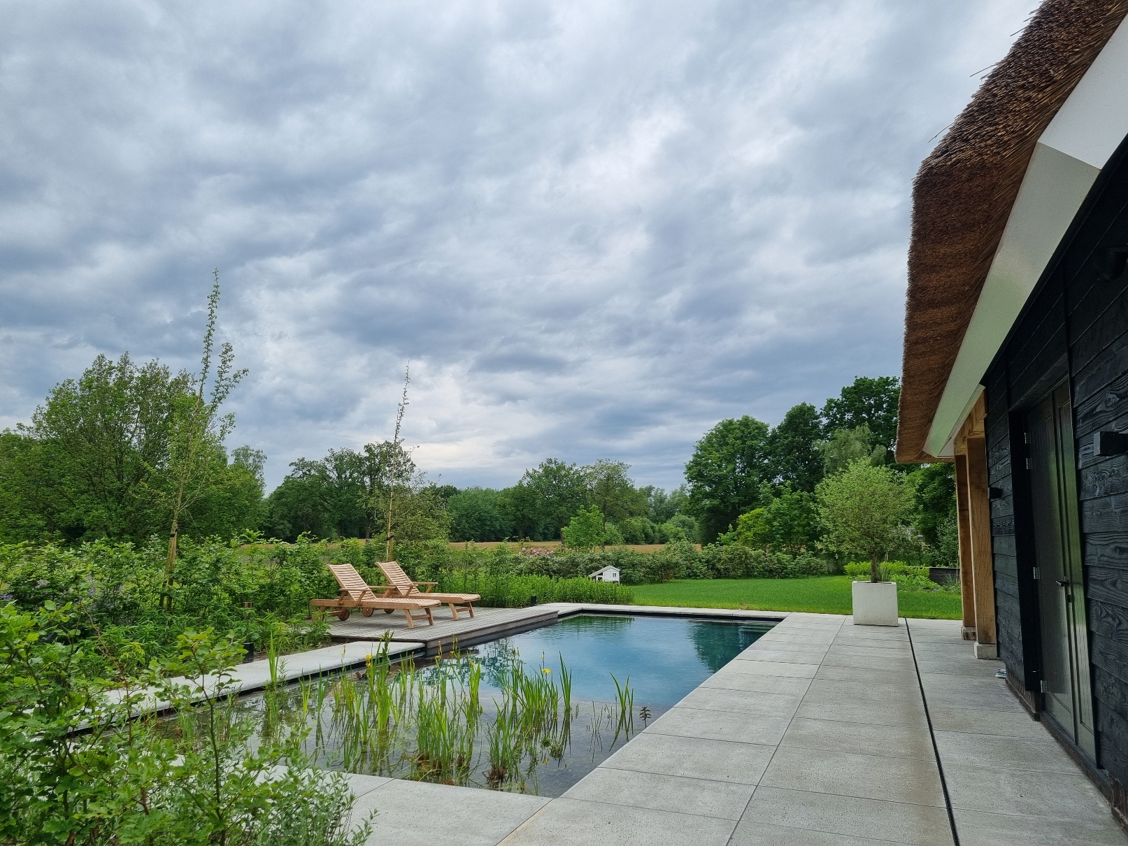 Zwemvijver en complete tuinaanleg bij landhuis in Epe