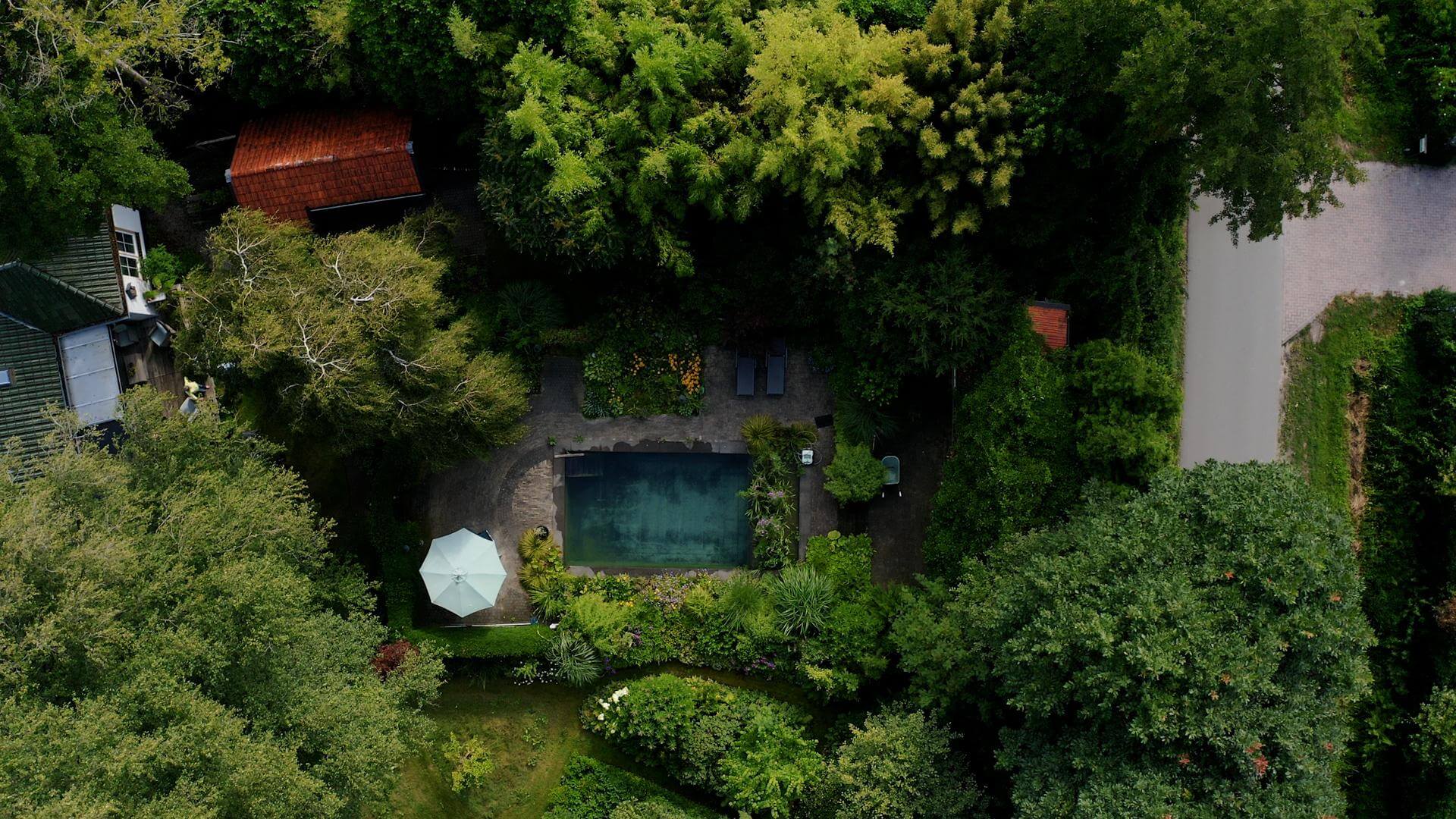 Van zwembad naar zwemvijver in de tuin in Hulshorst 2