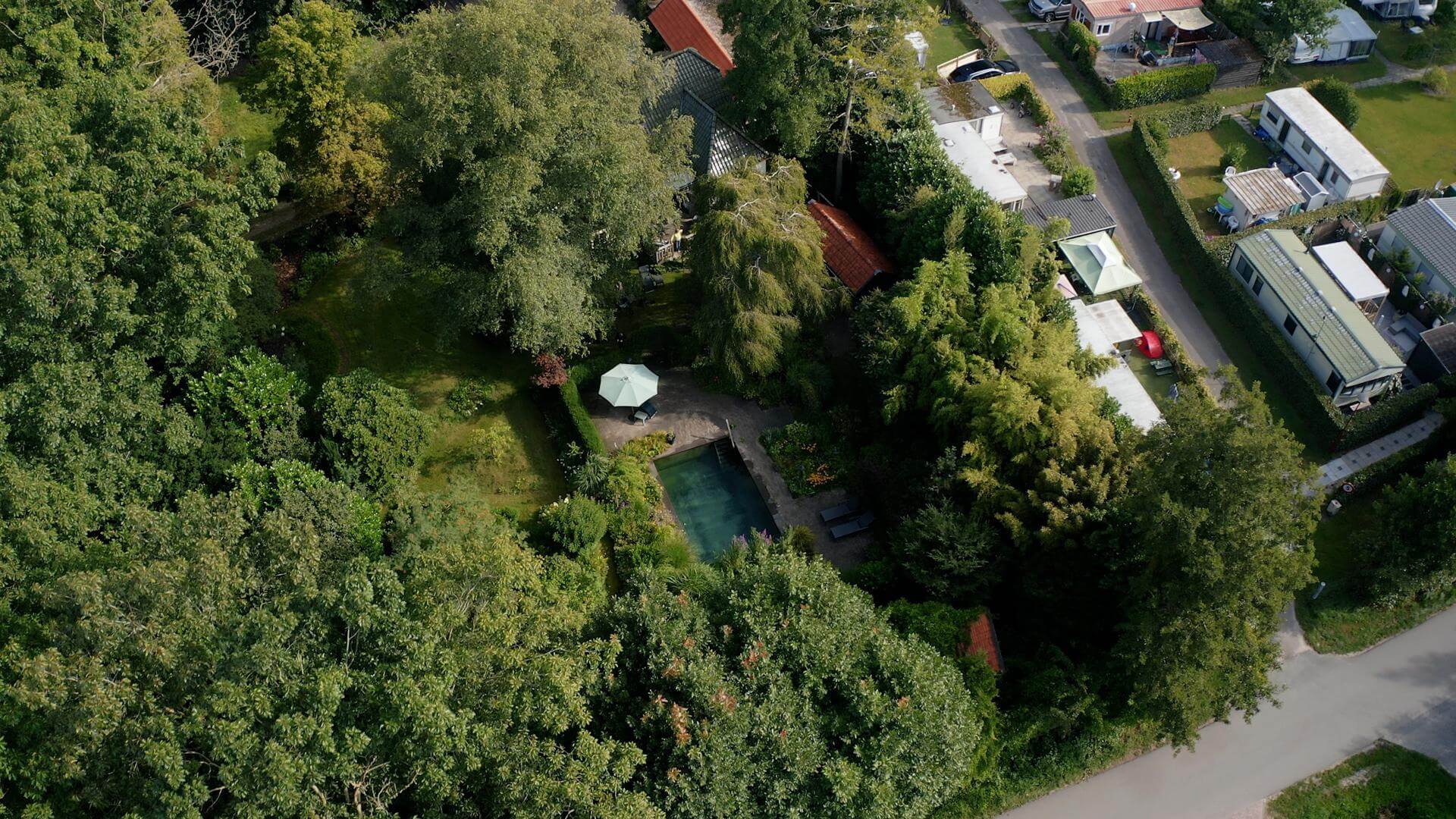 Van zwembad naar zwemvijver in de tuin in Hulshorst 3